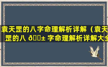 袁天罡的八字命理解析详解（袁天罡的八 🐱 字命理解析详解大全 🦟 ）